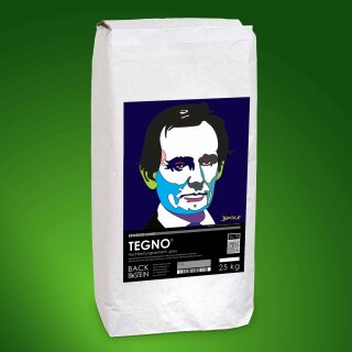 TEGNO® UHPC special cement 300 kg (12 bags)