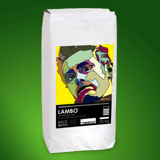 LAMBO ® laminating concrete, white 300 kg (12 bags)