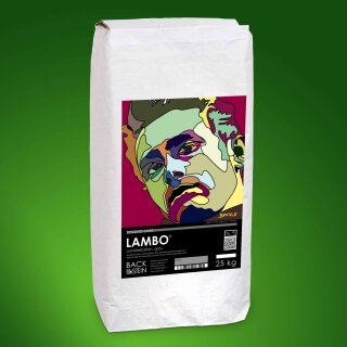 LAMBO ® Laminierbeton, grau 900 kg mit Entladehilfe